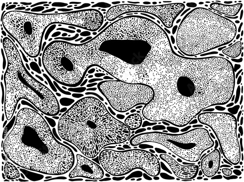 Abstract coral forms, black lines, spots, isolated on a white background