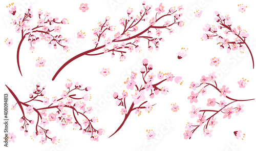 Isolated sakura branches collection . Cherry blossom set. Decorative Japan floral cartoon clipart.