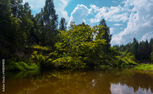 A trip on a catamaran through the quiet forest river on beautiful sunny summer days. Unique natural locations far from civilization.