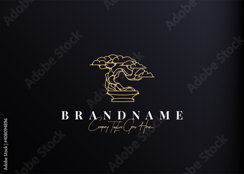 Bonsai Plant Logo Design Inspiration. Vector illustration of aesthetic bonsai and potted plants. Modern Icon Design Vector Template with Outline Style