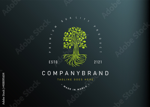 Big Tree logo design inspiration. Vector Illustration of a Tree with Roots. Modern Icon Design Vector Template with Line Style