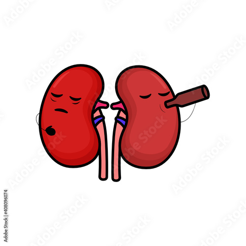 Cute kidney organ mascot design