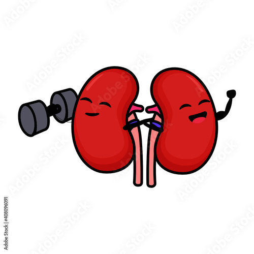 Cute kidney organ mascot design
