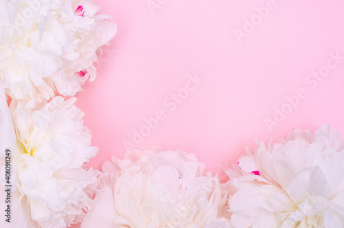 Greeting card banner background, white peonies on pink background with copy space with selective focus