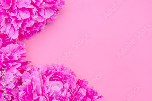 Greeting card background, pink peonies on pink backdrop with copy space with selective focus