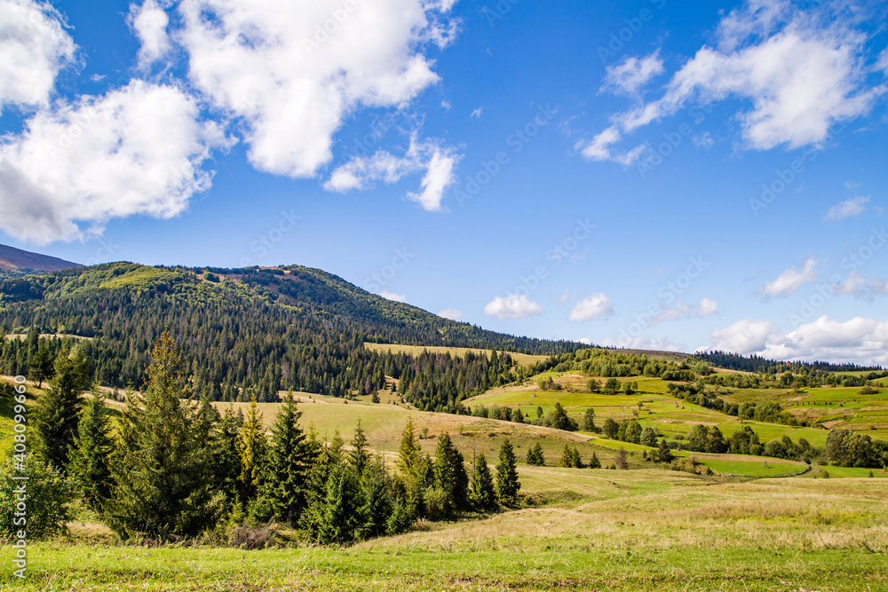 mountains covered with coniferous trees and blue sky. Beautiful landscape