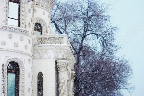 Canvas Print Old white house during a winter blizzard