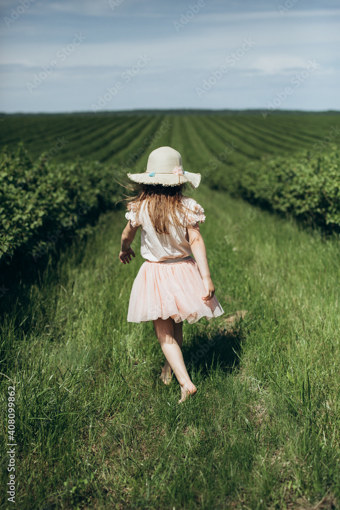 Little girl in a hat walks on a green field in summer. Rear view