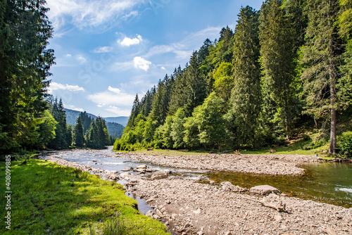 mountain river near the coniferous forest on a background of mountains and blue sky.