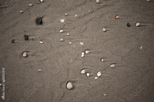 Shells showing the change in tides (Kijkduin, The Hague, The Netherlands)
