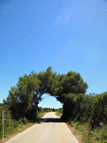 Road through the tree tunnel on Vis island, Croatia

Vis, Croatia - July 1st 2014