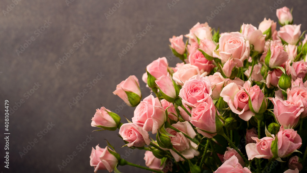  Pink roses on a lilac background