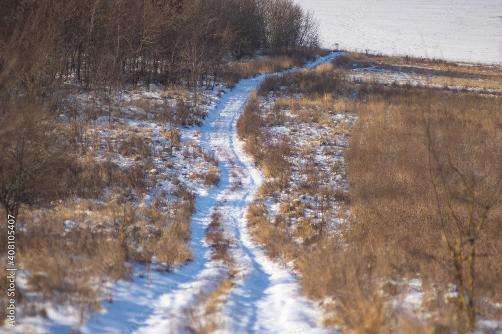 Snow-covered dirt road in forest Snow-covered dirt road in forest