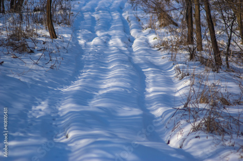 Snow-covered dirt road in the forest