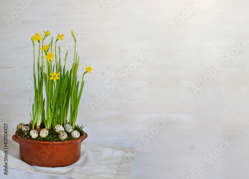 Tet-a-tet variety daffodils in old pot with quail eggs. Easter concept image with copy space