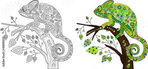 Decorative stylization of a chameleon lizard of different colors sitting on a branch with leaves. Coloring page of chameleon. Vector illustration.