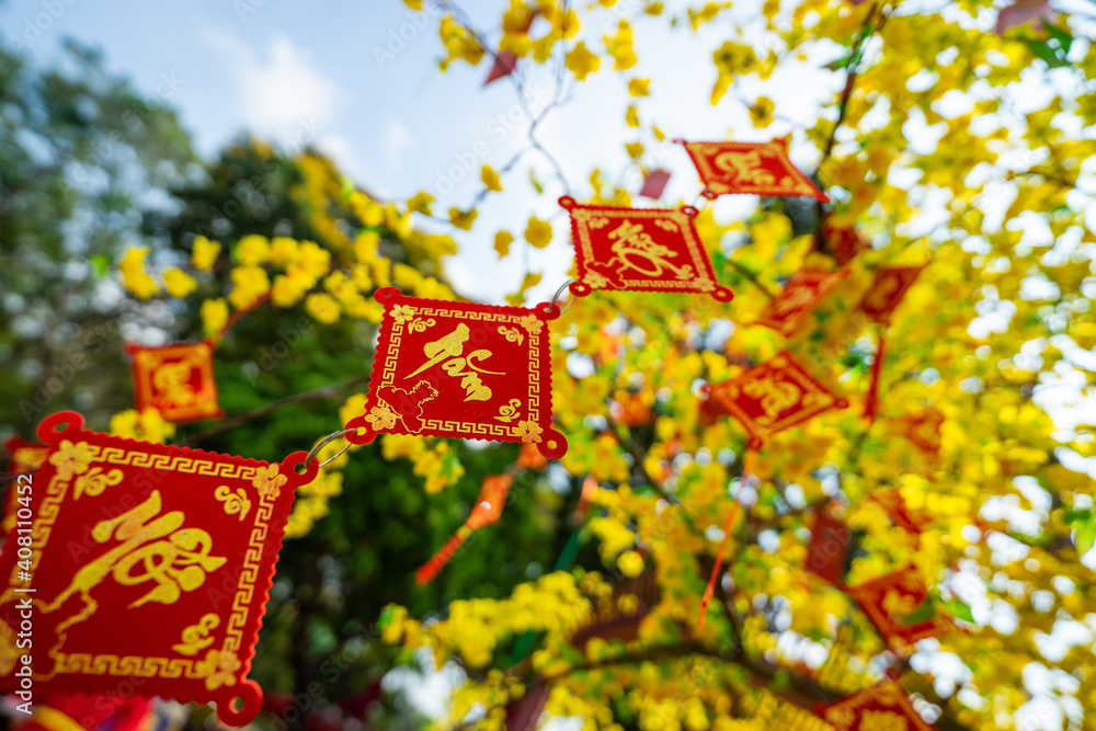 Ochna integerrima (Hoa Mai) tree with lucky money. Traditional culture on Tet Holiday in Vietnam. Text in photo mean Happy New Year.