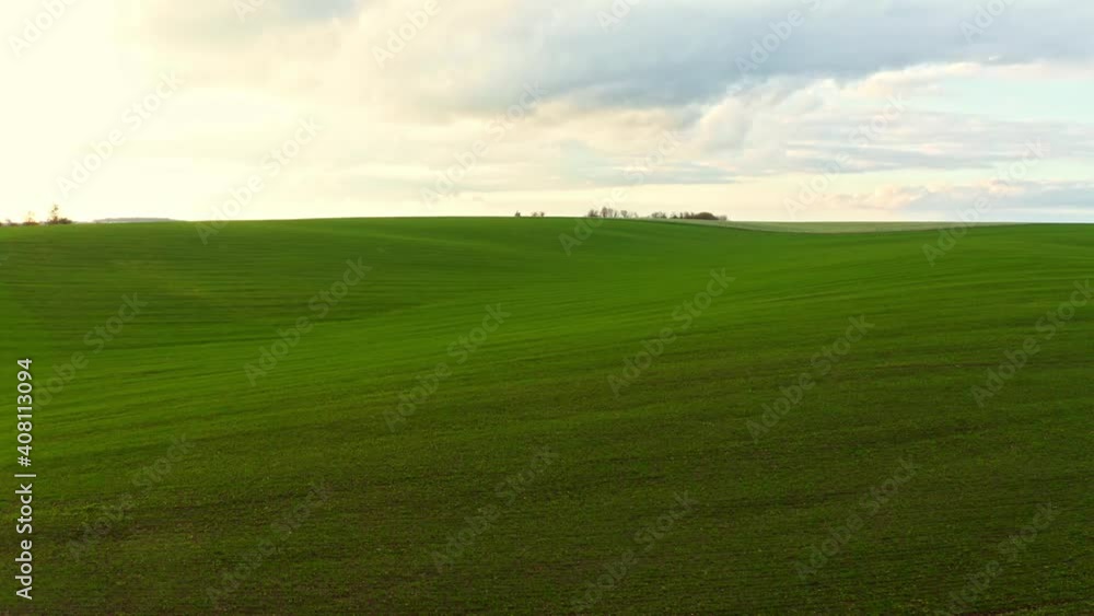 Beautiful Green grass field and blue sky with bright sun summer landscape background. Aerial UHD 4K drone realtime video, shot in 10bit HLG and colorized Beautiful Green grass field and blue sky with bright sun summer landscape background. Aerial UHD 4K drone realtime video, shot in 10bit HLG and colorized