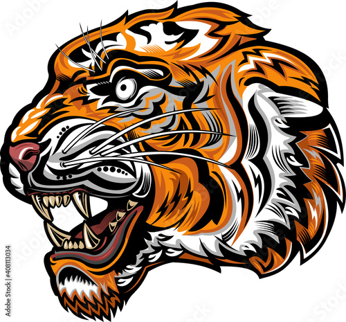 Angry tiger face