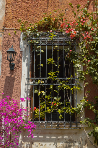 Window and flowers © Elisabetta