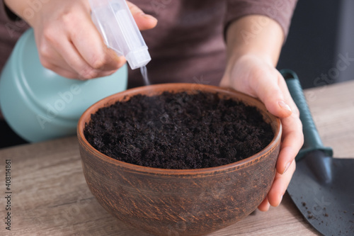 Gardening at home. How to grow any plant on windowsill. Step by step, tutorial. photo