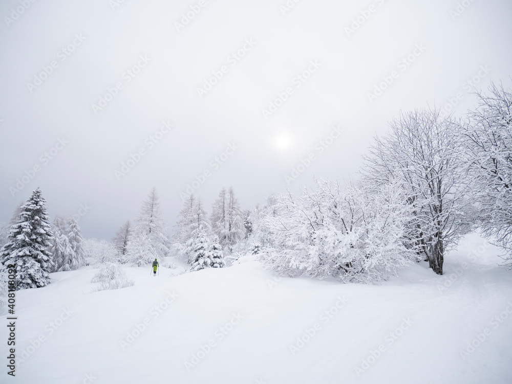 Fototapeta premium Ski mountaineering, ski touring among the snowy trees at high altitude