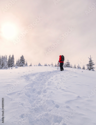 Hiker on a trail walking through snow. Winter landscape in Carapathian Mountains, Romania.