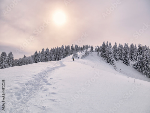 Winter landscape with a trail or foot path in the fresh white snow and the sunlight shining. Carpathian Mountains in Romania © Cristi