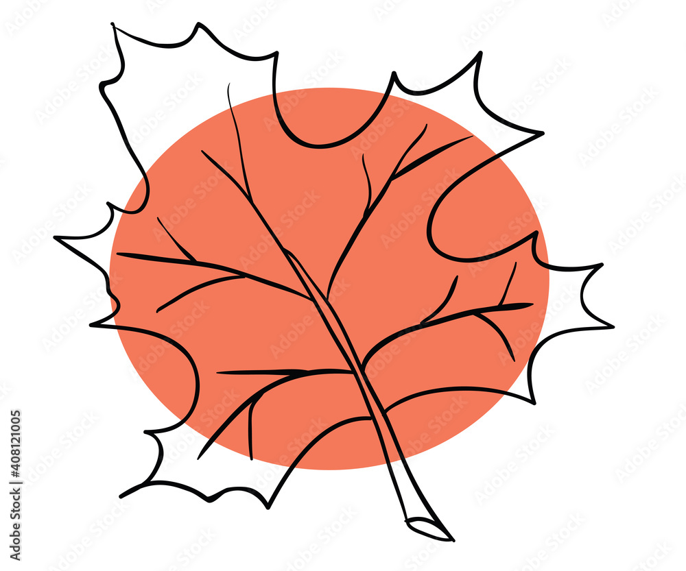 Obraz premium Red maple leaf on a white backgrond