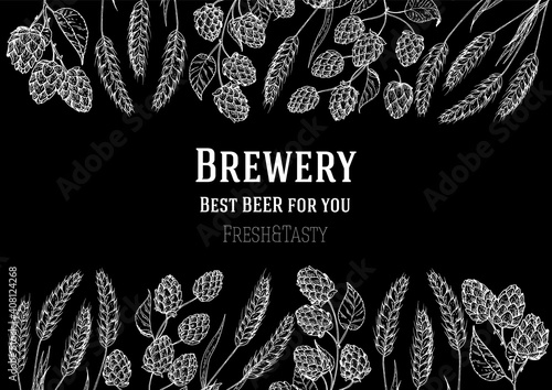 Brewery design template. Beer hop illustration. Hand drawn sketch design. Beer ingredients vector illustration.