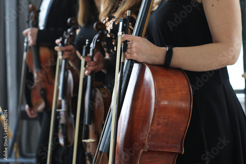 Violin and cello, string quartet at a musical concert