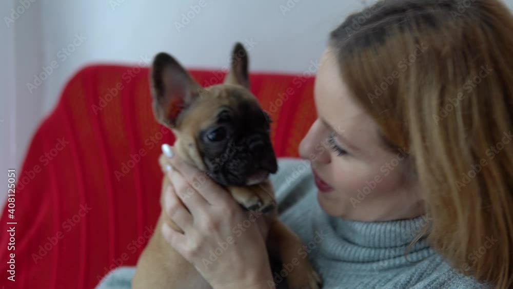 Young woman holds a dog in herhands Young woman holds a dog in herhands
