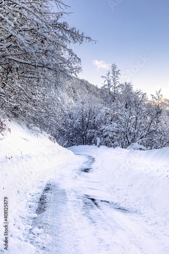 Road in a snowy forest in the mountains in Lombardy, Italy.