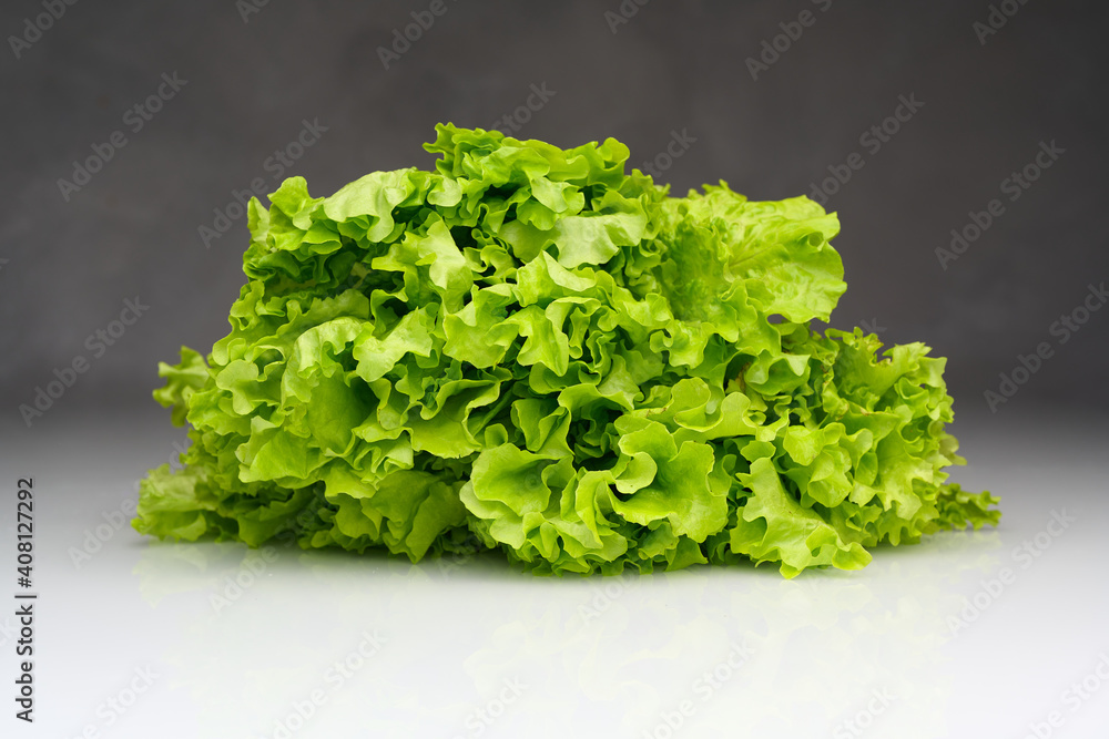 fresh green lettuce fresh green lettuce