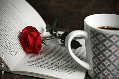 Romantic image, a book and a red rose