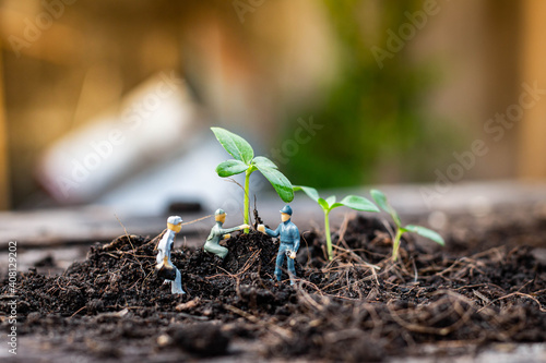 Miniature people : Nature exploration team is planting trees for a green world project. (We plant trees for a better world) © Werachat