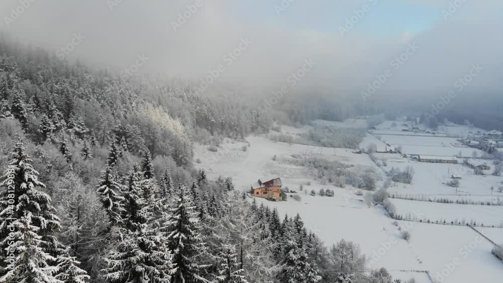 Flying close to the top of the pine trees forest covered with snow towards a valley in the Carpathian Mountains Flying close to the top of the pine trees forest covered with snow towards a valley in the Carpathian Mountains