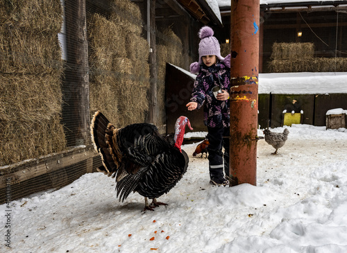 beautiful girl in a purple hat feeding pets on an eco farm in winter
