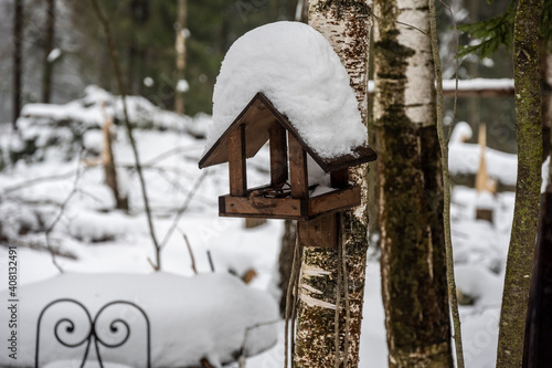 birdhouses for birds of different shapes and sizes in the winter forest