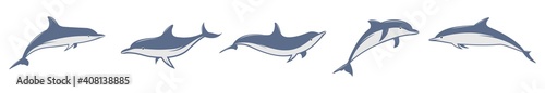 Dolphin fish animal vector icon illustration, Cute dolphins set, dolphin jumping isolated on white background