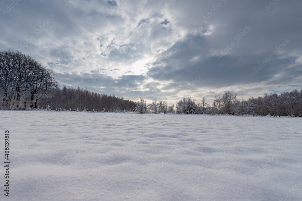 Winter landscape on the border of the Netherlands and Belgium. The meadows and forest are covered with a layer of fresh snow under a blue sky Winter landscape on the border of the Netherlands and Belgium. The meadows and forest are covered with a layer of fresh snow under a blue sky