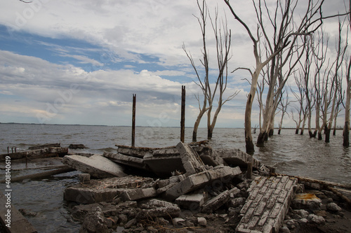 Lago con   rboles en ruinas de Epecuen  Buenos Aires.