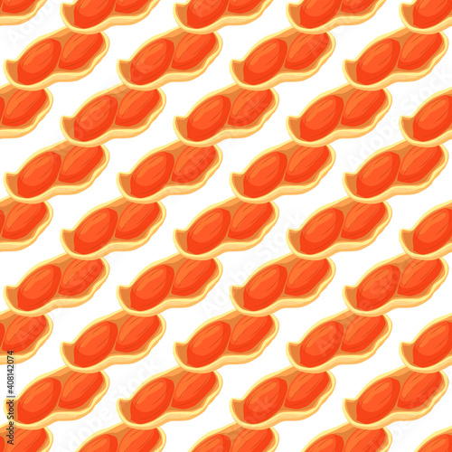Illustration on theme big pattern identical types peanut