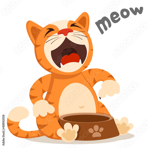 The cat sits and meows near the plate. Cat asks for food