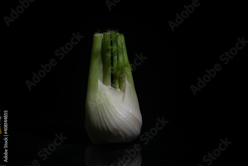 Fennel on the black background