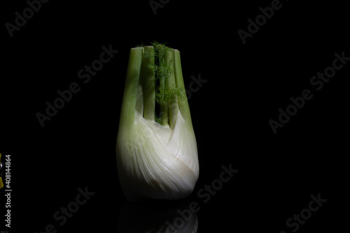 Fennel on the black background
