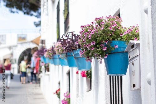 Blue flowerpots in a row on a white wall in an andalusian old town Mijas photo