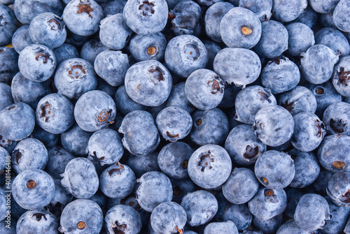 Fresh Bilberries. Close-up background. blueberry background

