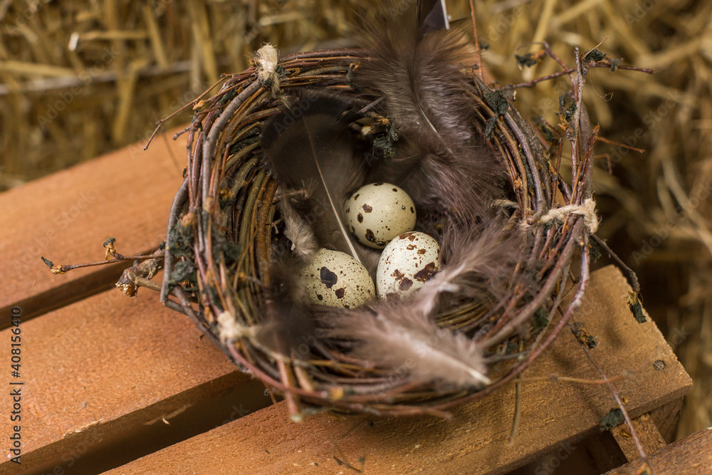 Rural easter decorating. Eggs in the nest Rural easter decorating. Eggs in the nest
