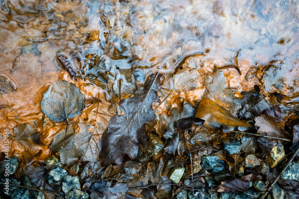 the clear water of the stream shimmers and under it shines a bright orange texture and near is wet frozen small stones standing on the ground on which some brown autumn leaves of oak have fallen the clear water of the stream shimmers and under it shines a bright orange texture and near is wet frozen small stones standing on the ground on which some brown autumn leaves of oak have fallen